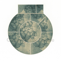 Nothofagus gunnii no. 2 - original fine art by S. Louise