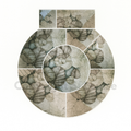 Nothofagus Gunnii no. 3 - original fine art by S. Louise